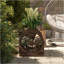 Lit de jardin surélevé à 2 niveaux Outsunny, boîtes à fleurs en bois avec trous de drainage, 25 po x 21 po x 24 po