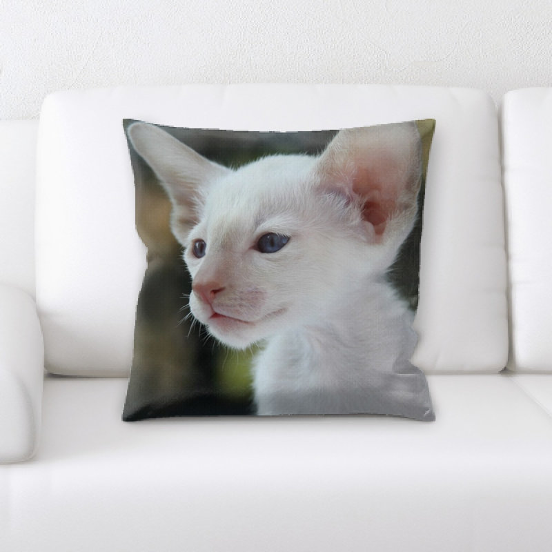 Coussin décoratif à chat siamois