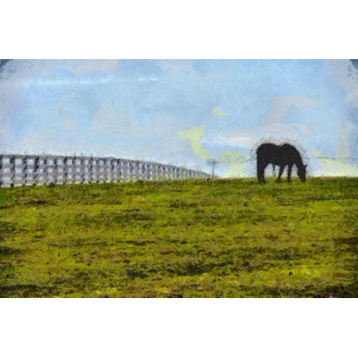 Painted Horse Grazing In Field - Wrapped Canvas Art Prints