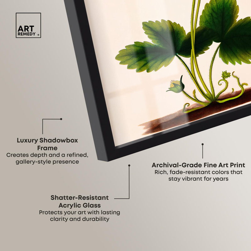 «Strawberry Kitchen Art Shadowbox» par Art Remedy, H 21 po x l 17 po, Noir
