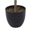 210cm Faux Olive Tree Tree in Freestanding-1163907551