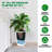 16" Tall Planters Set of 2, Outdoor＆Indoor Black Planter Pots, High Front Porch Planter Pots with Drainage Holes＆Water Level Monitor＆Inner Bucket