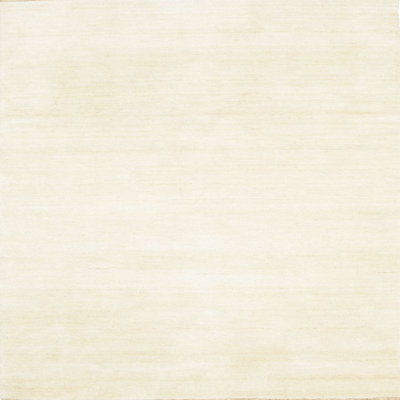 Indoor Rug
