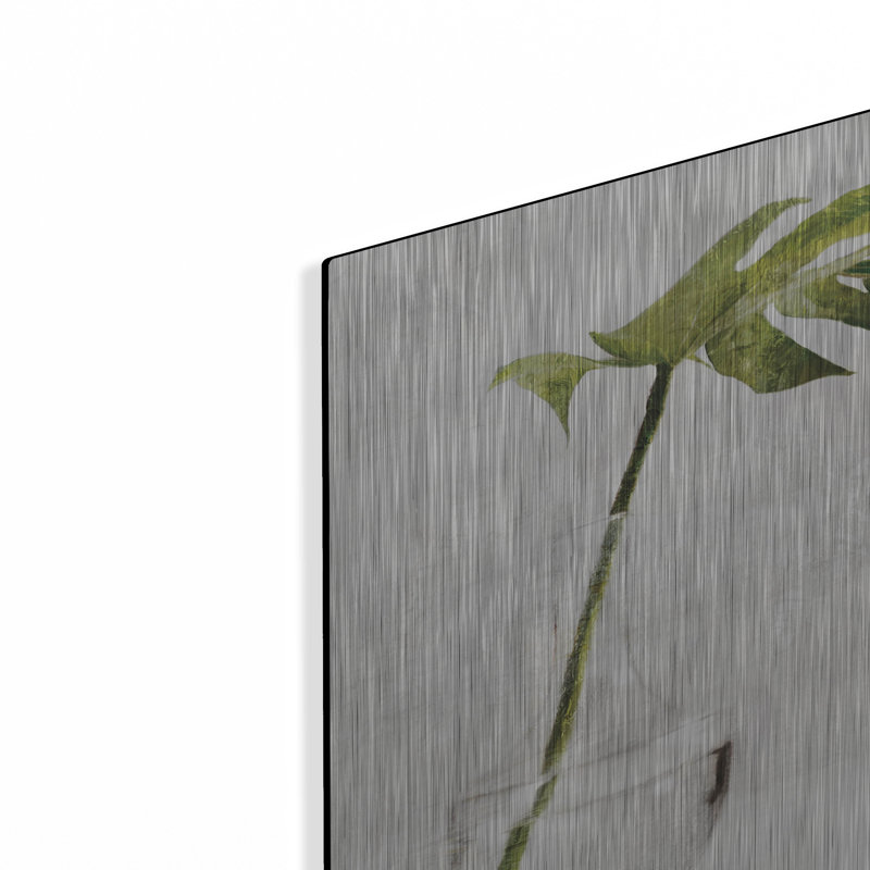 Art mural en métal Winston Porter «Single Green Stem in Glass» par Bluebird Barn, H 12 po x l 12 po