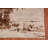Transitional Oriental Area Rug 8x10