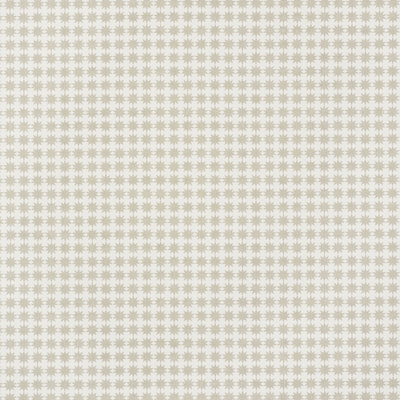 Schumacher x Studio Bon Stella Fabric