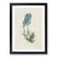 Illustration of Blue Wildflowers - Picture Frame Painting Print-55579555-55579554