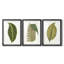 3 feuilles-1839807113-1839807115