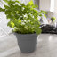 Ensemble de pots de fleurs d'intérieur / extérieur à arrosage automatique 6 po Ariana-88036104-91832512-92162956