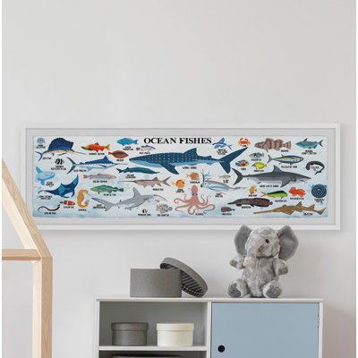 " List Of Ocean Fishes "