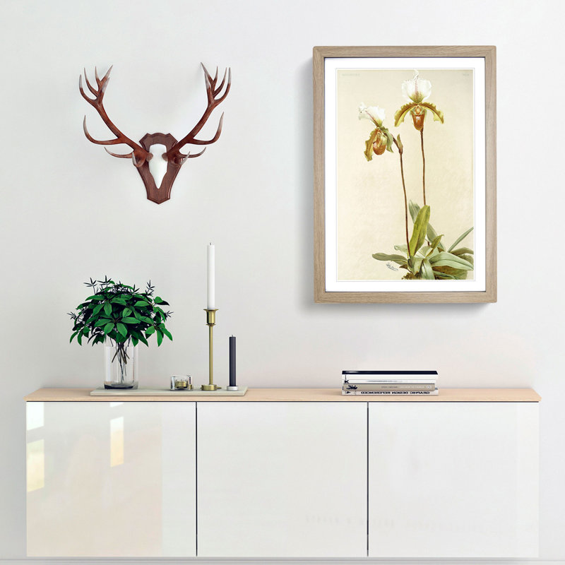 Magnolia Flowers Illustration Tab. 57 by Frederick Sander - Picture Frame Painting Print, Oak, 91cm H x 60cm W 