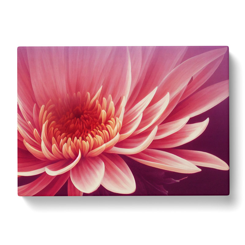 Artsy Chrysanthemum Flower - Wrapped Canvas, 35cm H x 50cm W x 3cm D