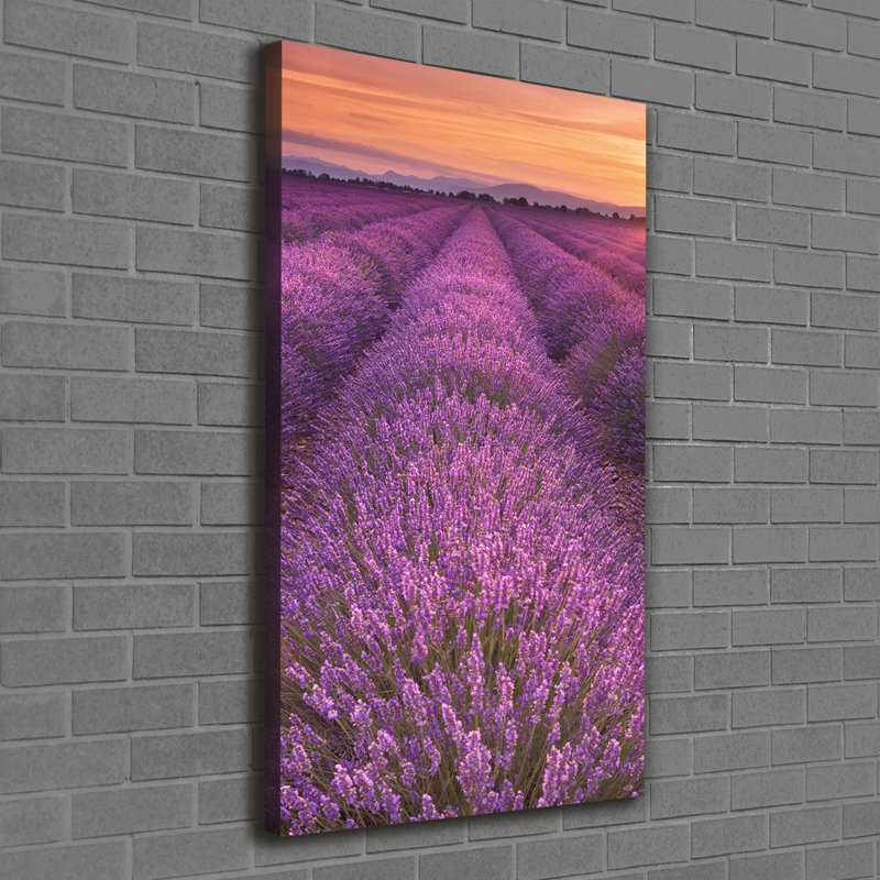 Lavender Field - Wrapped Canvas Print, 120cm H x 60cm W