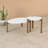 Ensemble de tables basses 2 pièces Jernya-1172678971