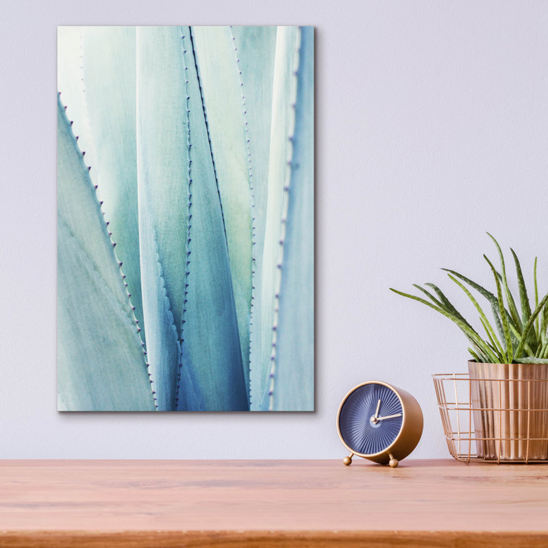 Epic Art «Pale Blue Agave No. 1» par Lupen Grainne, «Pale Blue Agave No. 1» par Lupen Grainne, H 16 po x l 12 po