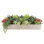 PLANT 27IN SUCCULENT ARRANGEMENT, GRAY POT