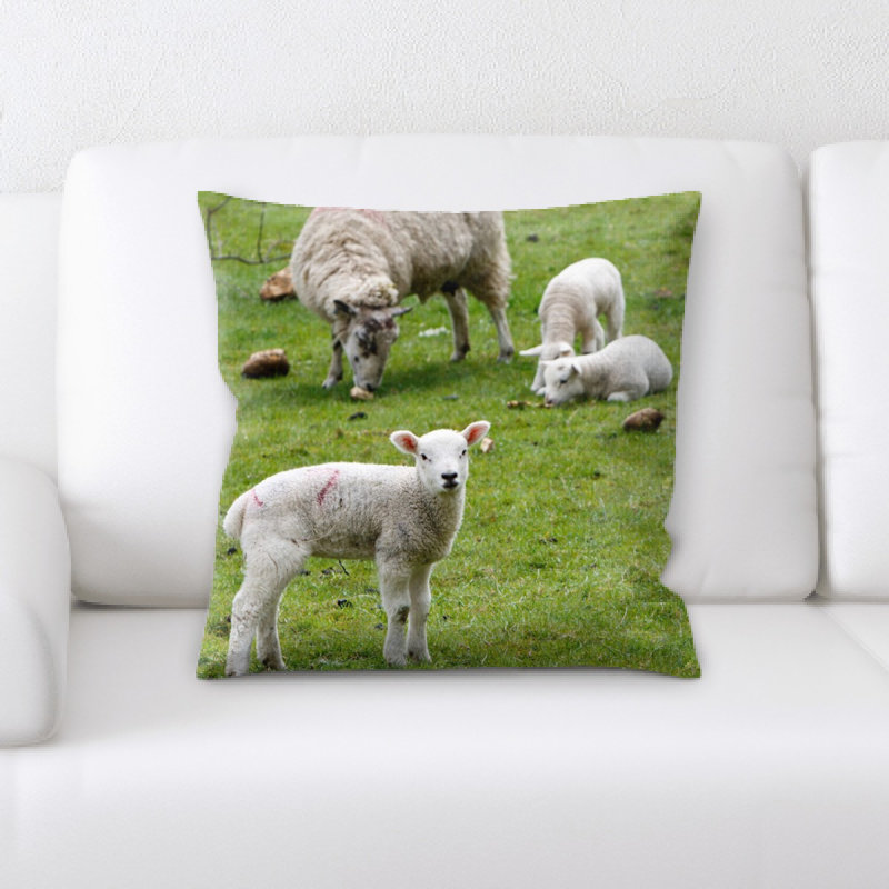 Coussin décoratif agneau