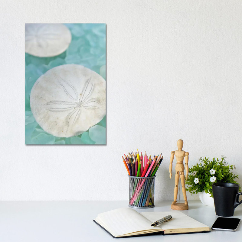 'Seaglass 3' by Alan Blaustein Graphic Art Print on Wrapped Canvas, 20.32 cm H x 30.48 cm W, Wrapped Canvas