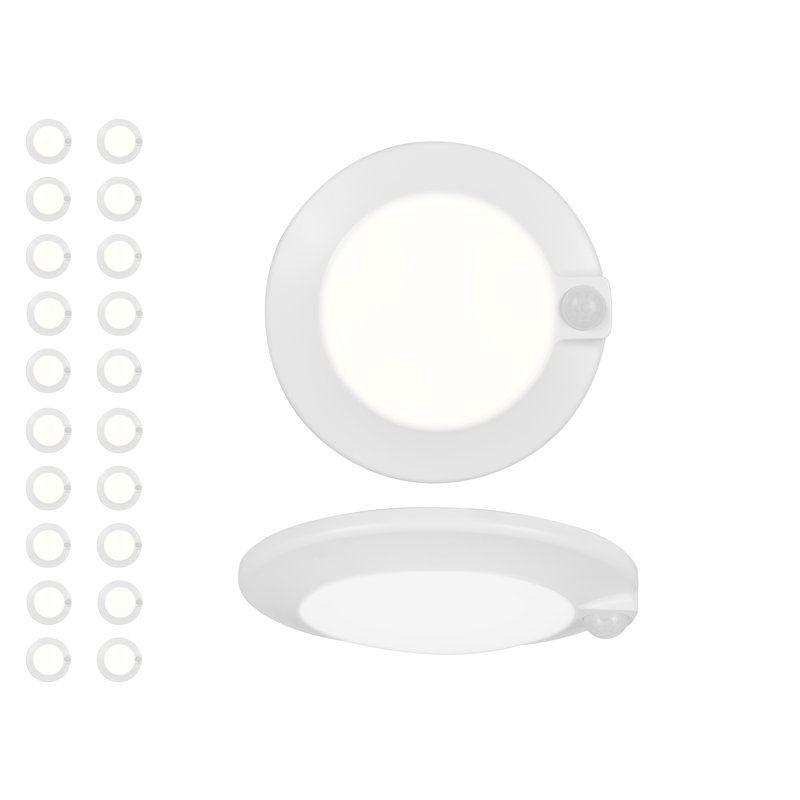 RSDS LED Flush Mount