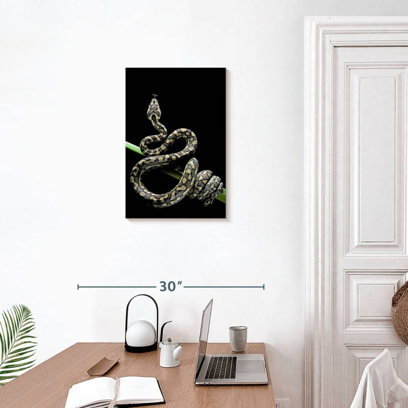 Poised Carpet Python, 24" H x 16" W