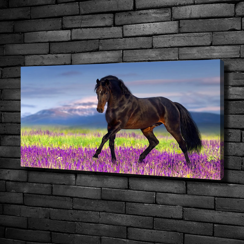 Horse on the Lavender Field 1 Piece Wrapped Canvas Wall Art