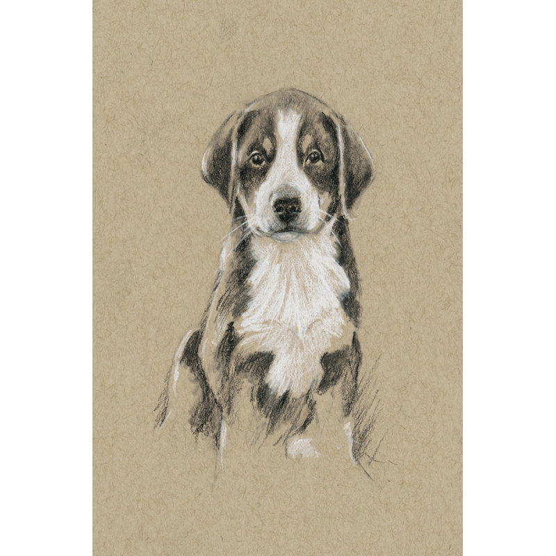 «Breed Sketches II», peinture sur toile, H 12 po x l 8 po