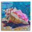 «Conch» par St. Hilaire Elizabeth-954942249