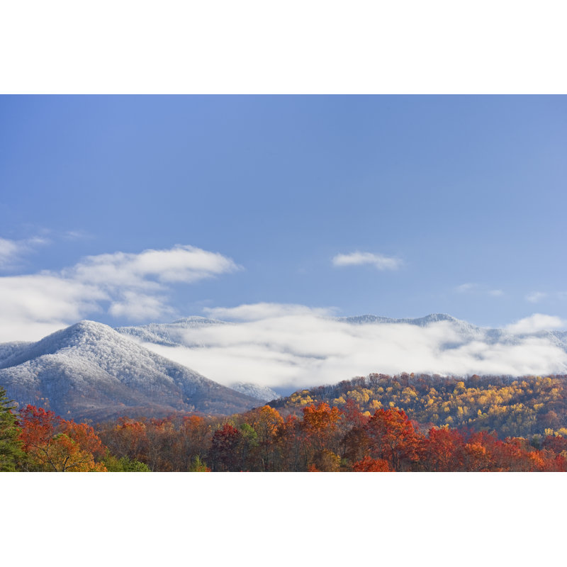 Autumn Day With Snowfall by Wbritten - Wrapped Canvas Print, 51cm H x 76cm W x 3.8cm D