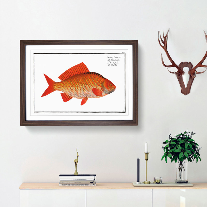 Goldfish by M.E. Bloch - Framed Print, Walnut Framed, 62cm H x 87cm W x 2cm D