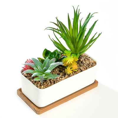 Helaina Ceramic Pot Planter