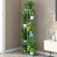 5 Tier Plant Stand