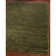 Ferrera Hand-Knotted Jute/Sisal/Cotton Green Area Rug