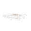Acrylic Decorative Tray-281471108