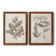 Toile encadrée antique Premium sépia Botanicals - prêt à accrocher-1452419992-1452419985