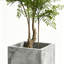 Plantes artificielles réalistes pour la décoration intérieure-2104405027