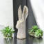 Animals Statue