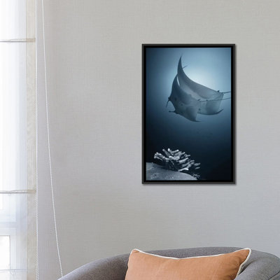 « sonata », impression sur toile