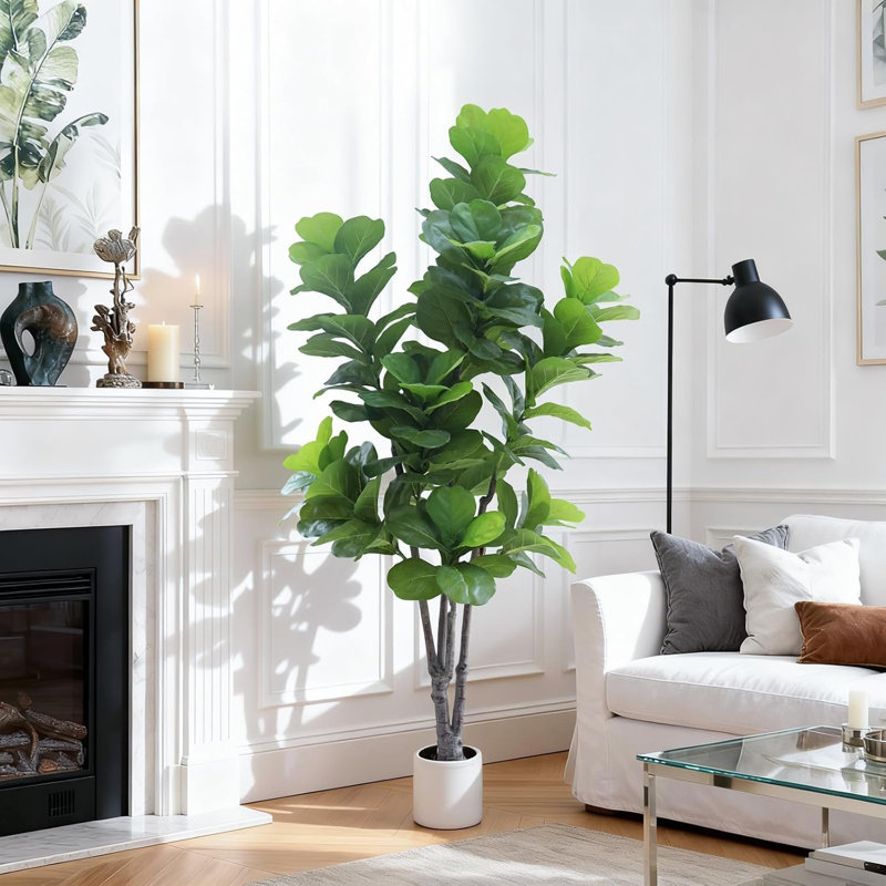84cm Plant