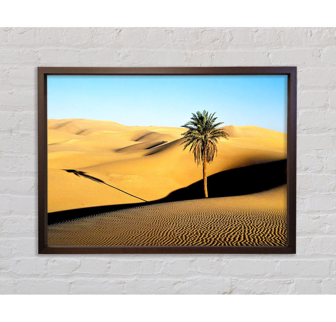 Desert Palmtree - Einzelner Bilderrahmen Kunstdrucke auf Leinwand