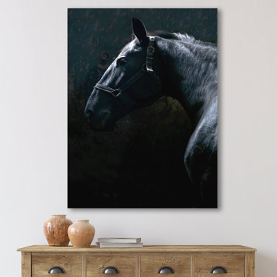 Portrait d'un cheval étalon Purius II - imprimé maison de campagne