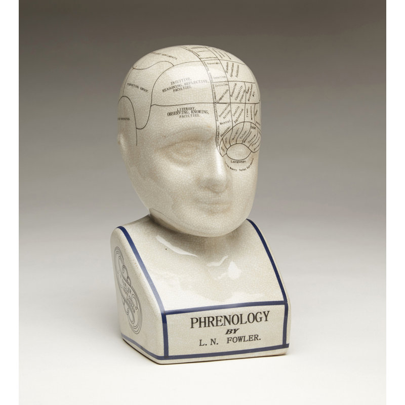 Crackle Phrenology Bust, 11.5" H x 5.5" W x 8" D