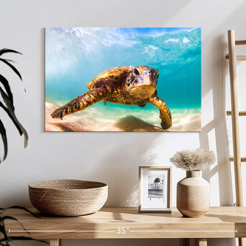 Crowle Hawaiian Turtle, 16" H x 24" W