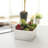 Hens Indoor Square Ceramic Pot Planter-1623962457