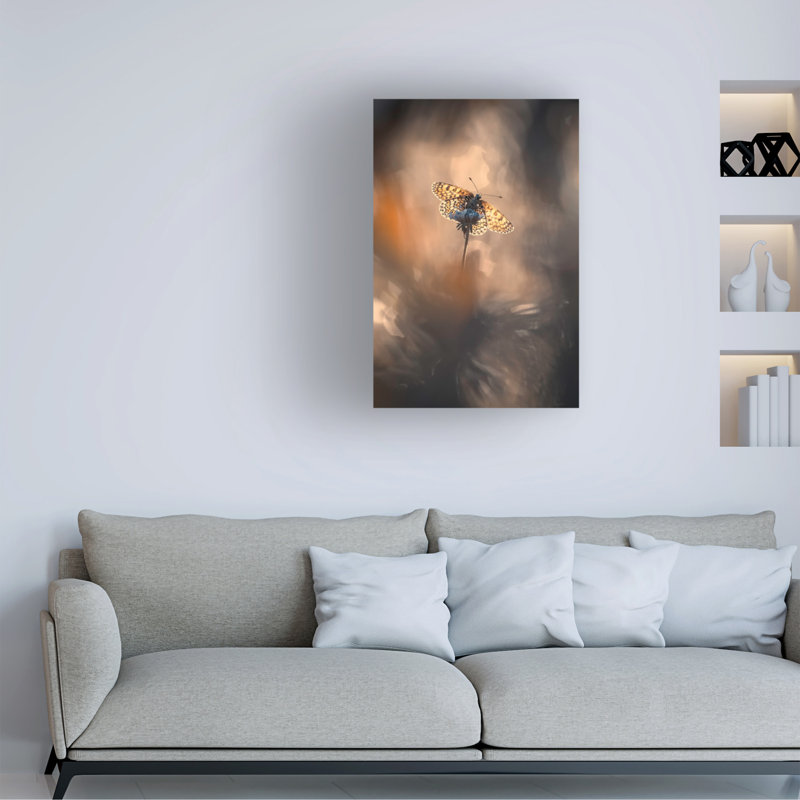 Fabien Bravin  Naturally Framed Canvas Art, H 24 po x l 16 po x P 2 po