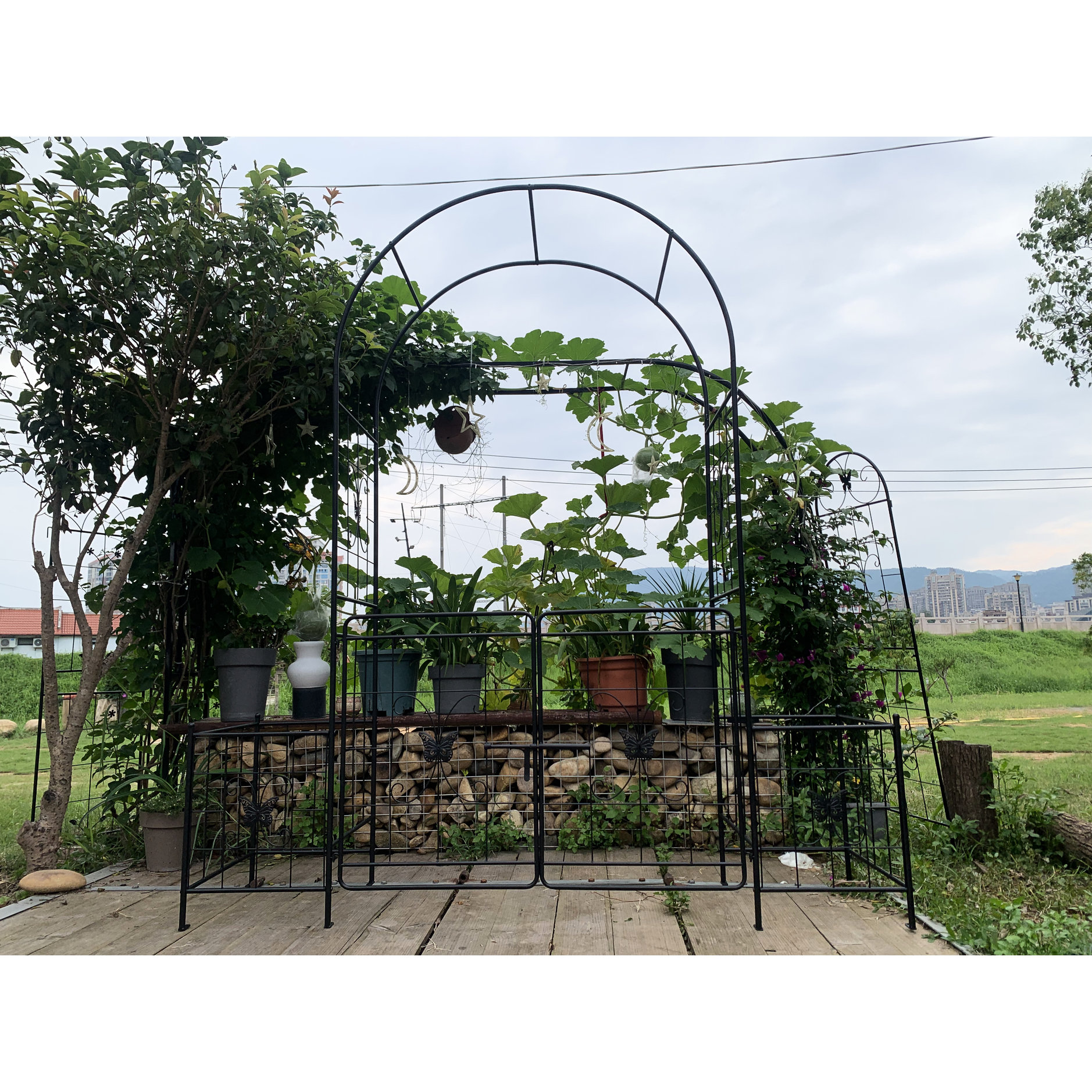 Red Barrel Studio Iron Garden Trellis With Gate, Ideal For Climbing ...