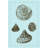 Tinted Shells On Aqua IV-688867026