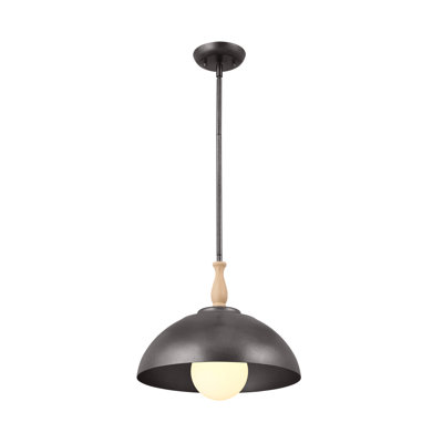 1 - Light Single Pendant