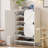 Shoe Cabinet with 2 Flip Drawers-326106245