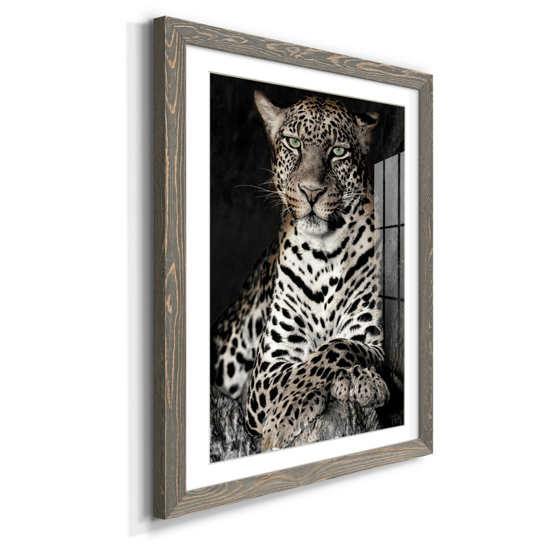 Léopard africain - reproduction de photo sur papier encadrée, H 44 po x l 31 po x P 1 po, gris