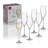 Aram 8 oz. Champagne Flute